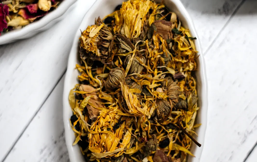 A Slow Morning Tea Ritual for Intentional Days